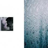 welmer-keesmaat