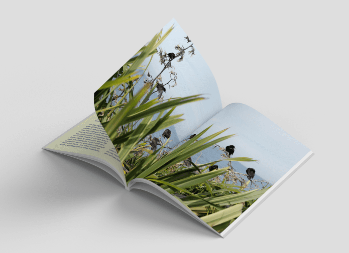 OVER journal is here!