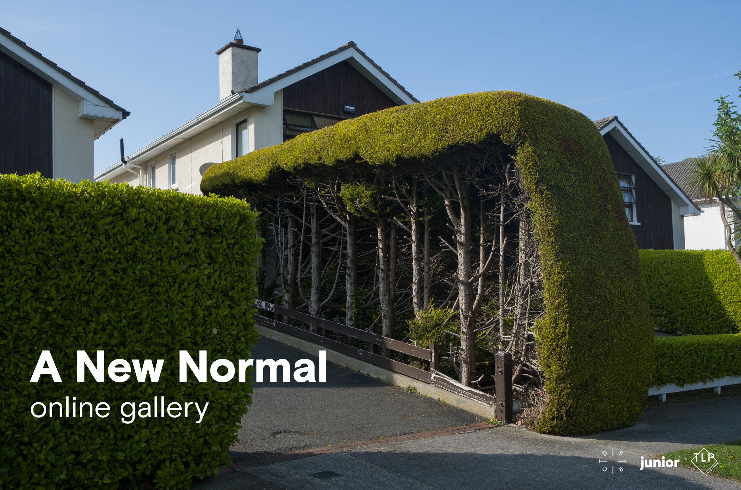 a-new-normal-online-gallery