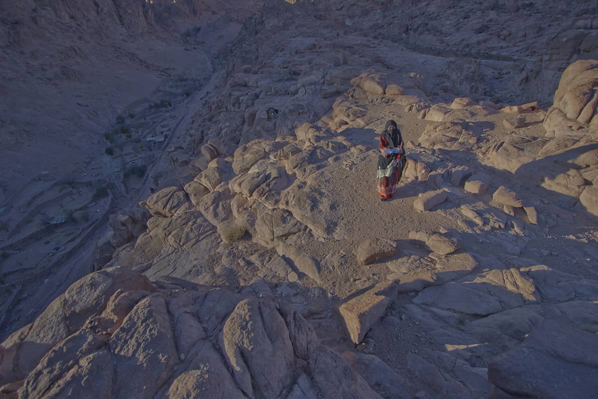 To be consumed in totality_Bryony Dunne, The Orchard Keepers, 2014, 24 min, courtesy of the artist