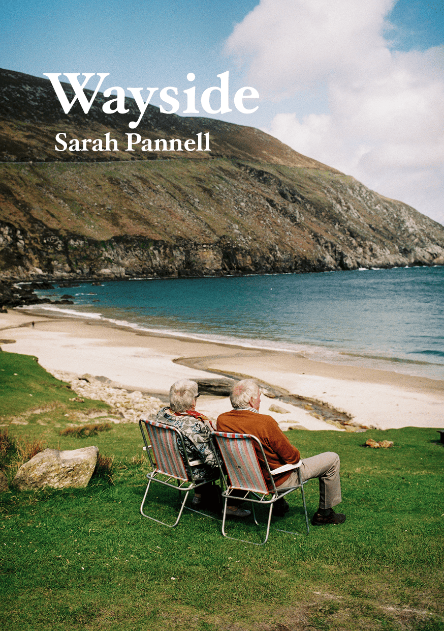 Sarah Pannell - TLP Editions