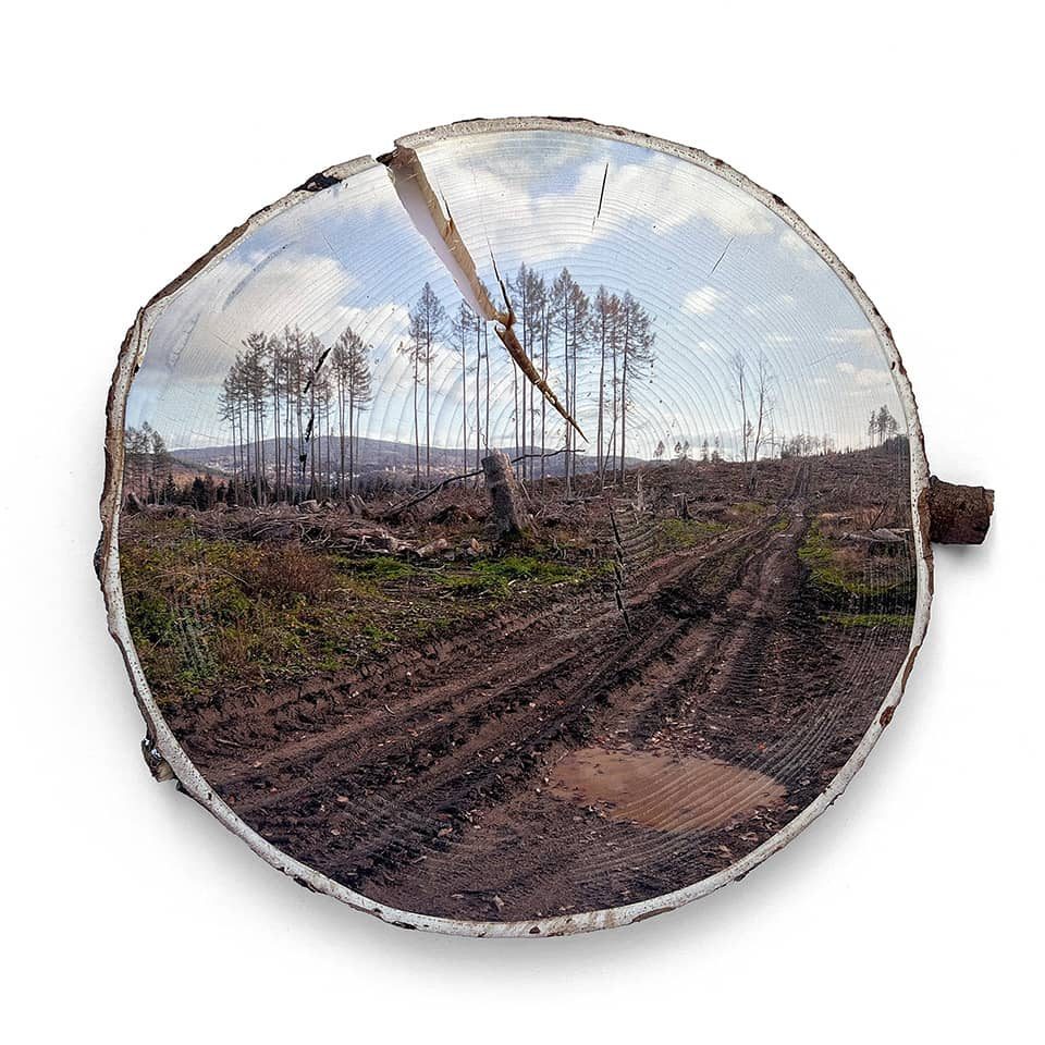 aindreas-scholz_the-second-fall_clearing-i