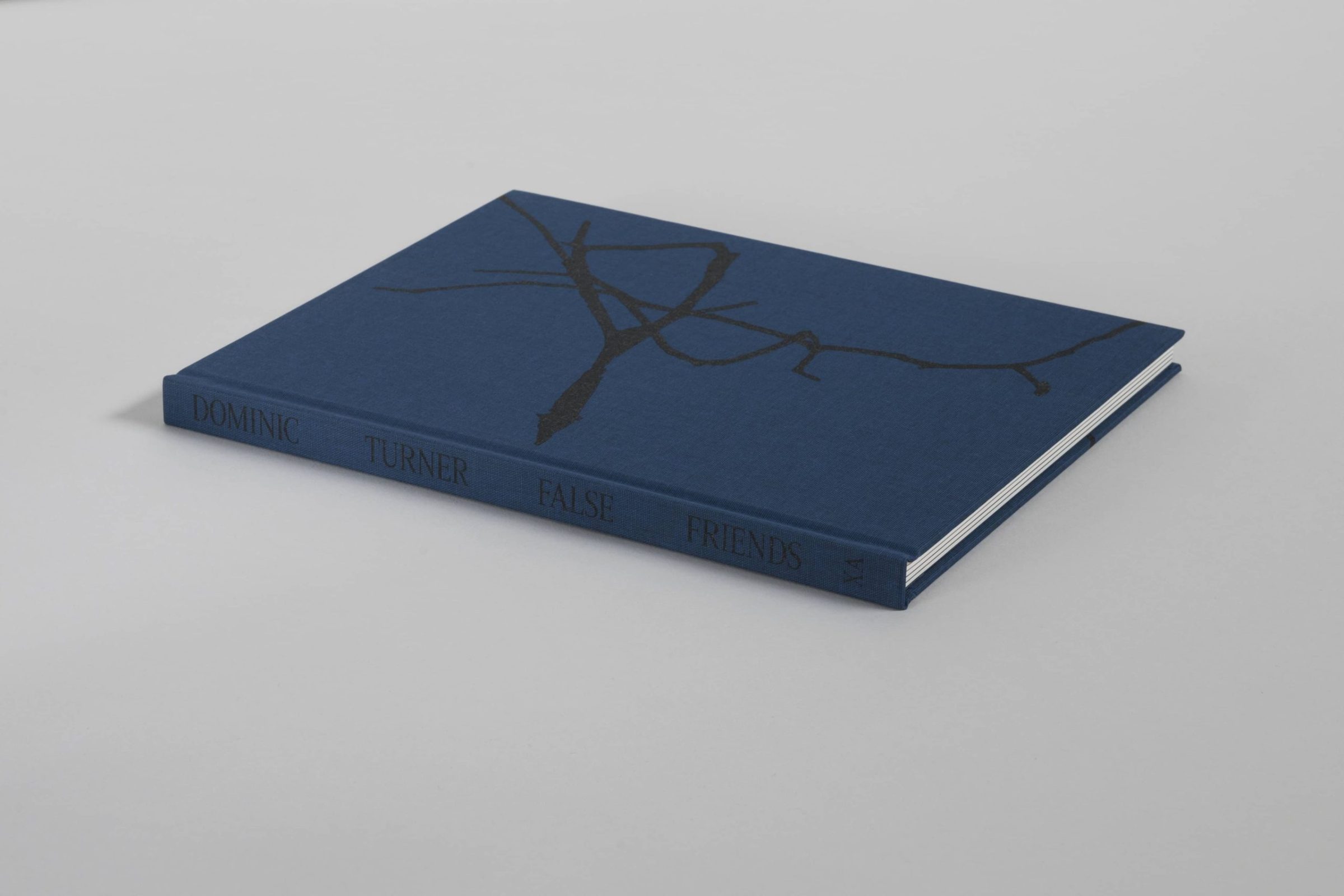 Photobook Launch: Dominic Turner's False Friends