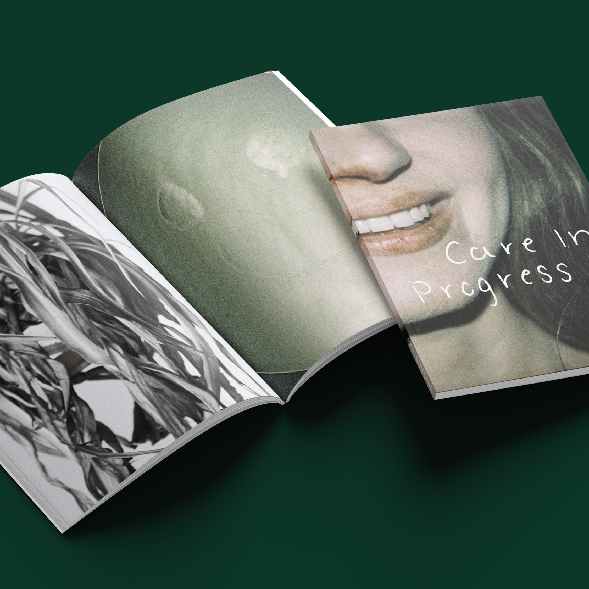 Sarah Navan, Care in Progress