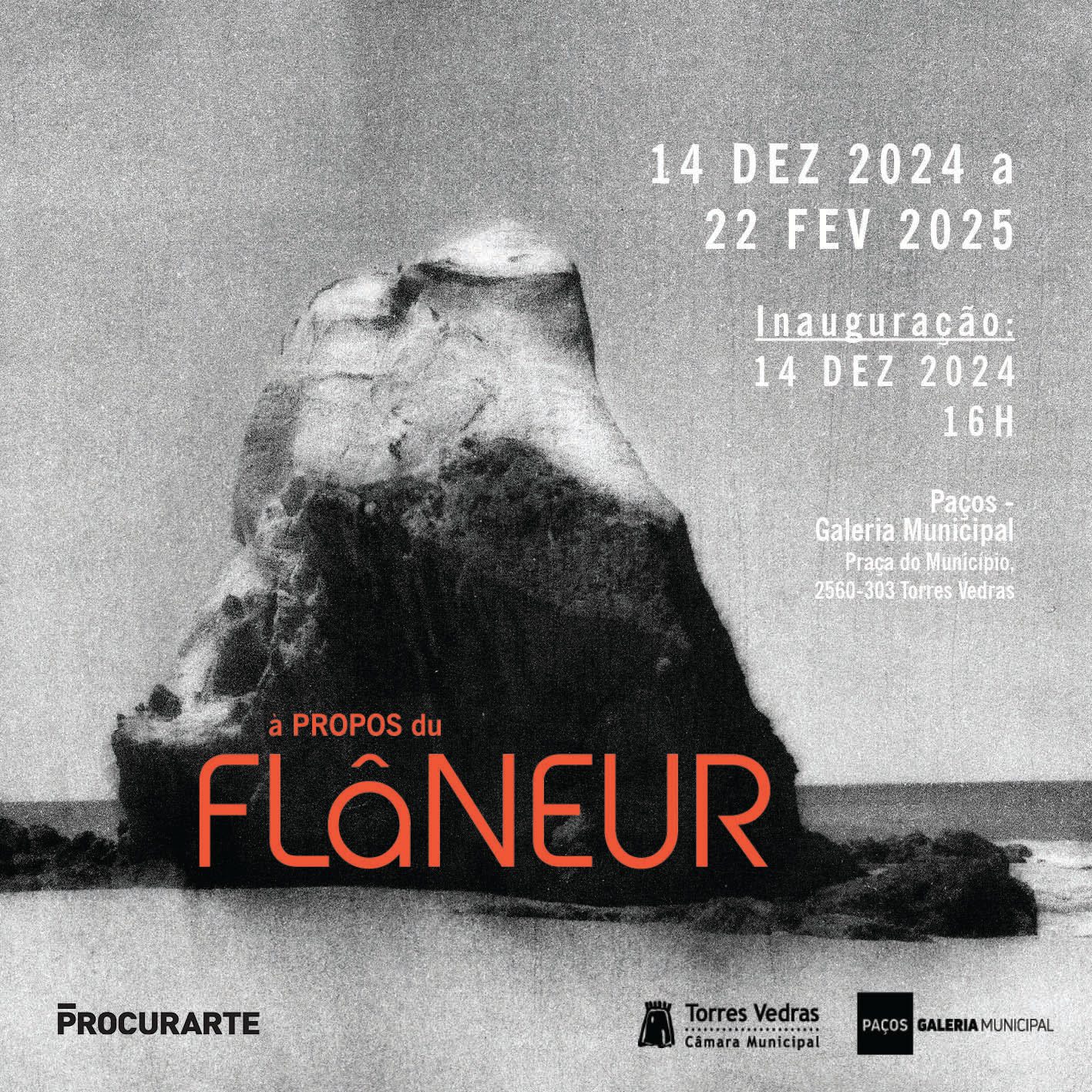 À PROPOS DU FLÂNEUR-Retrospective exhibition